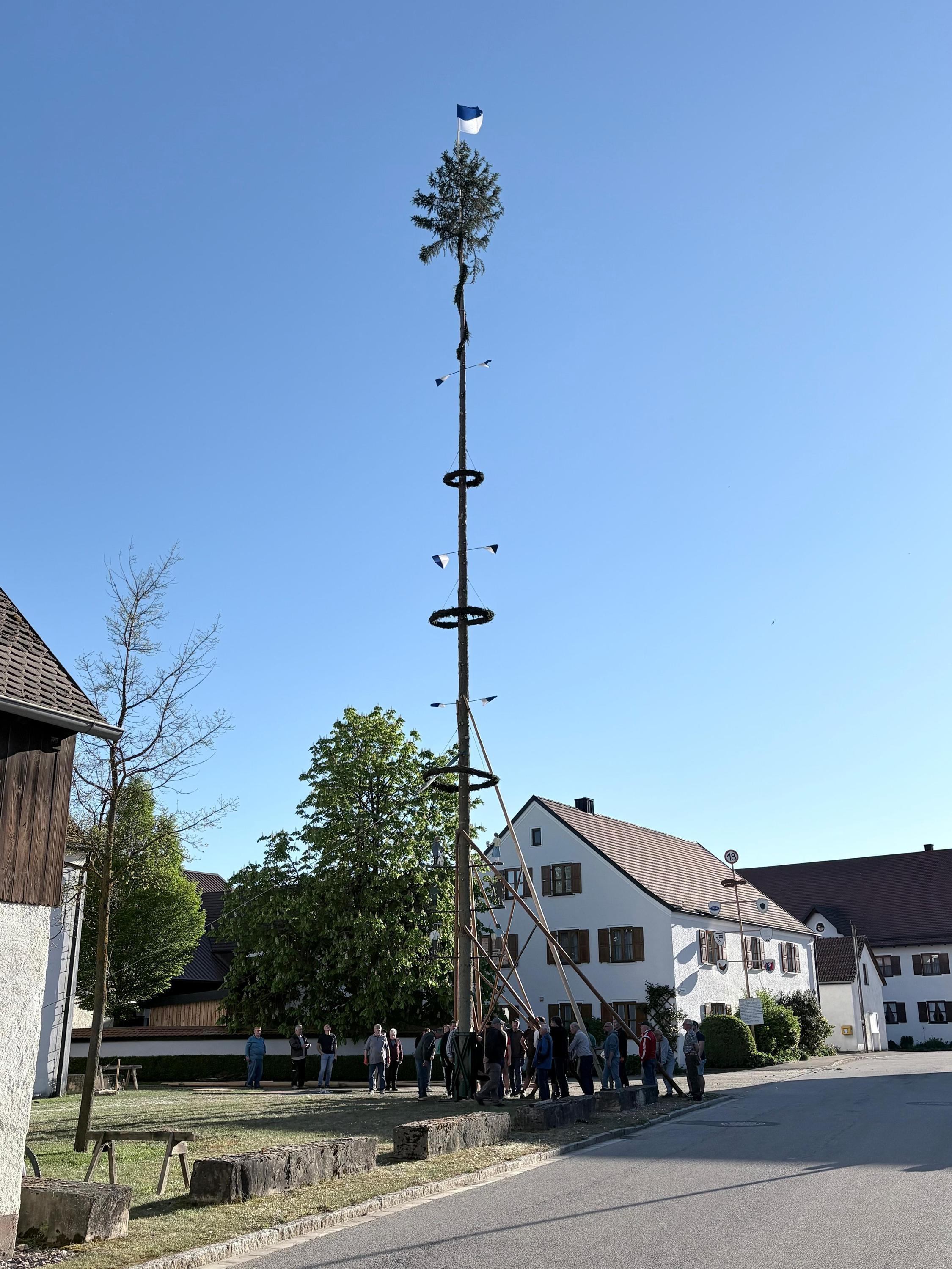 ein Maibaum