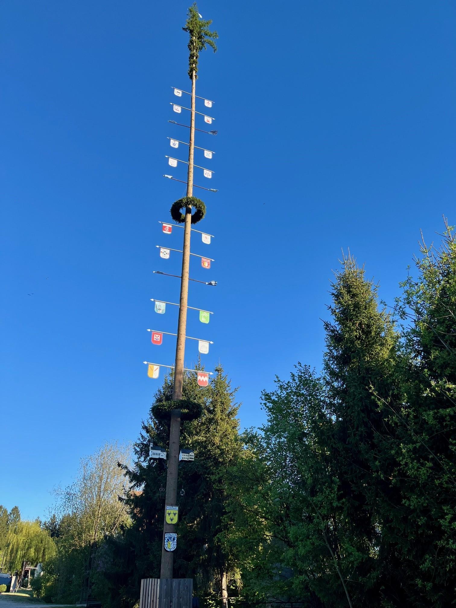 ein Maibaum
