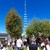ein Maibaum