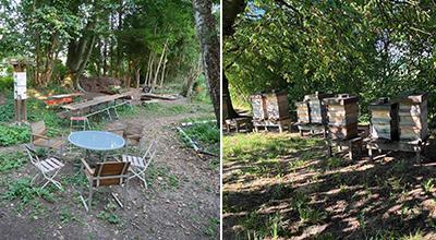 Garten und Bienenstände