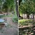 Garten und Bienenstände