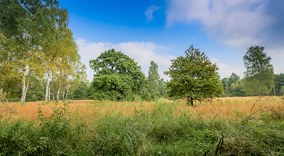 Naturschutzbeirat des Landkreises Pfaffenhofen