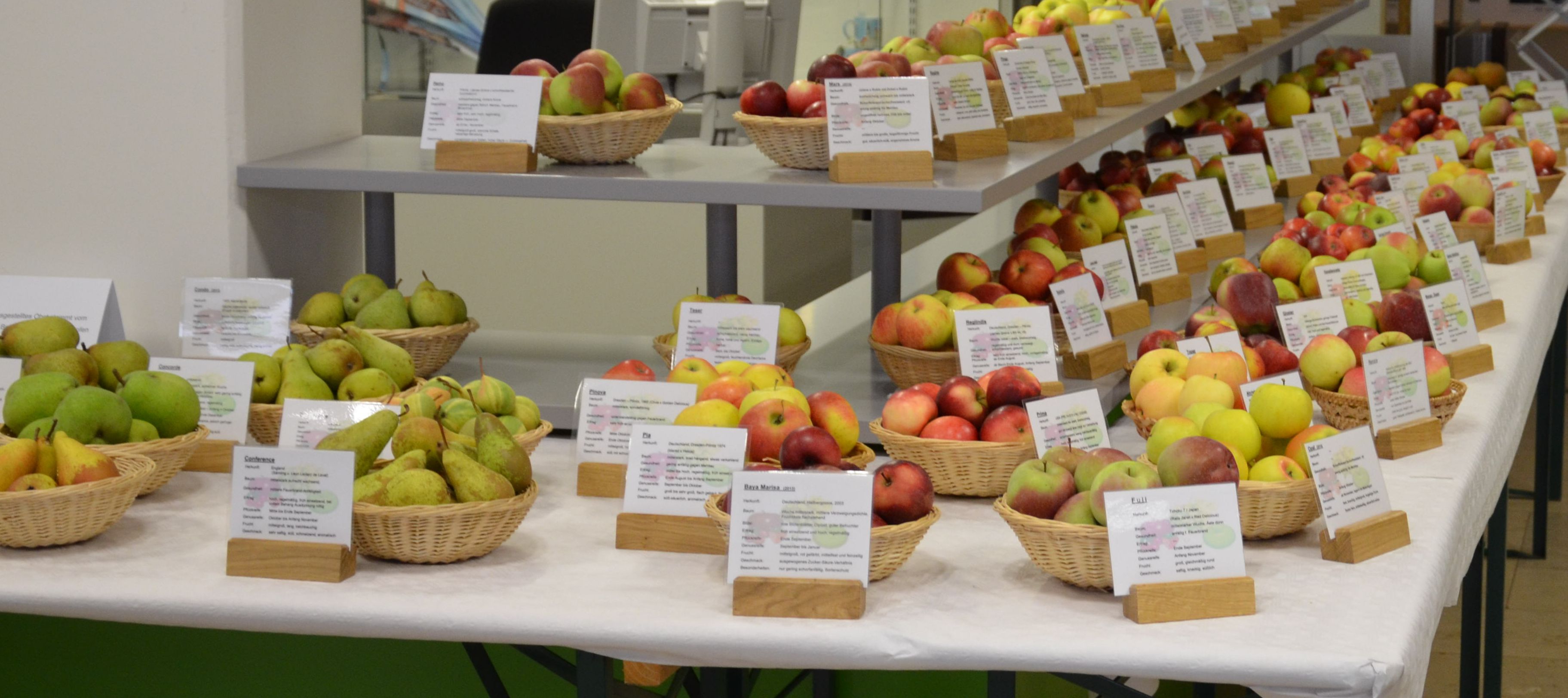 Obstausstellung im Landratsamt am 6. Oktober