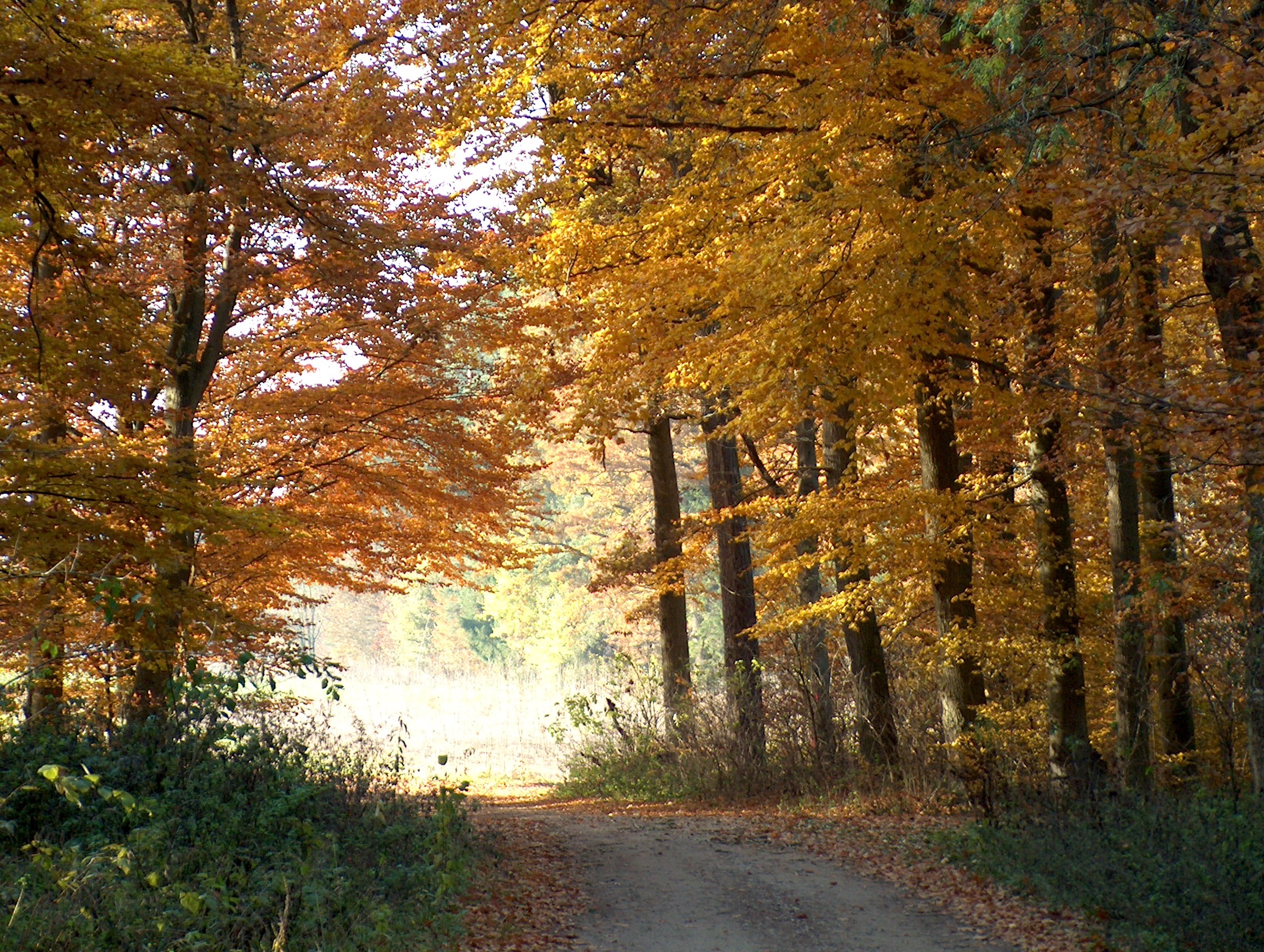 Kunterbunte Tipps für die Herbstferien im Landkreis Pfaffenhofen
