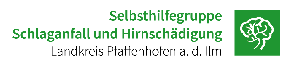 Logo Selbsthilfegruppe Schlaganfall und Hirnschädigung